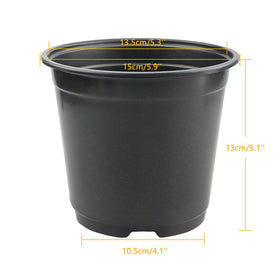 KINGLAKE 6-inch diameter nursery pot supports strong root growth