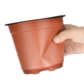 Kinglake 6-inch nursery pot side profile ideal for gentle seedling transition