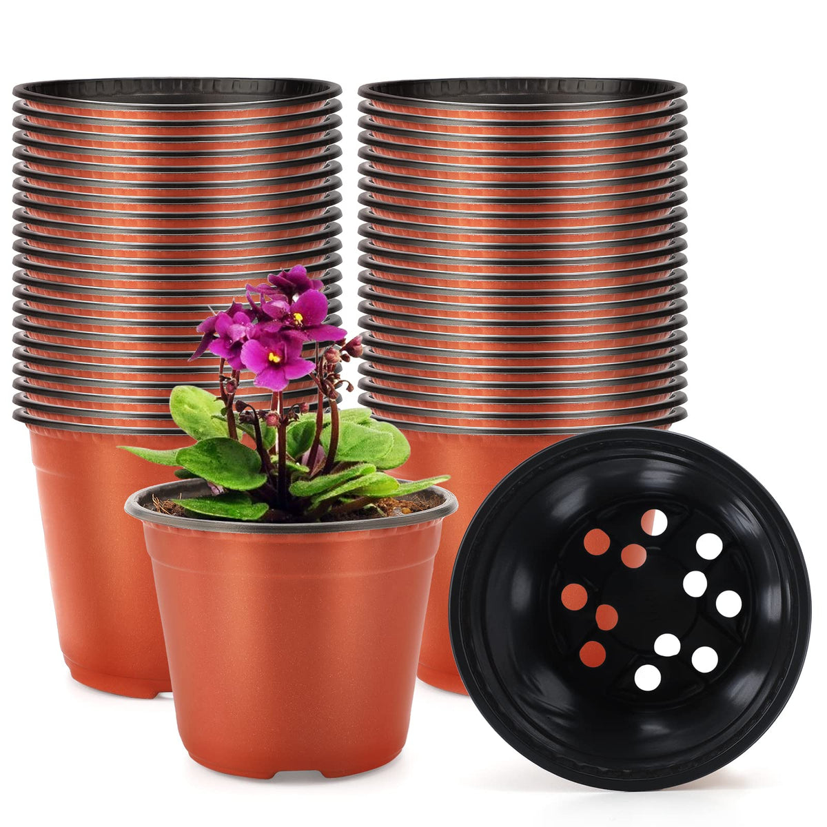 Kinglake 6-inch nursery pot top view suitable for seed starting and seedling care