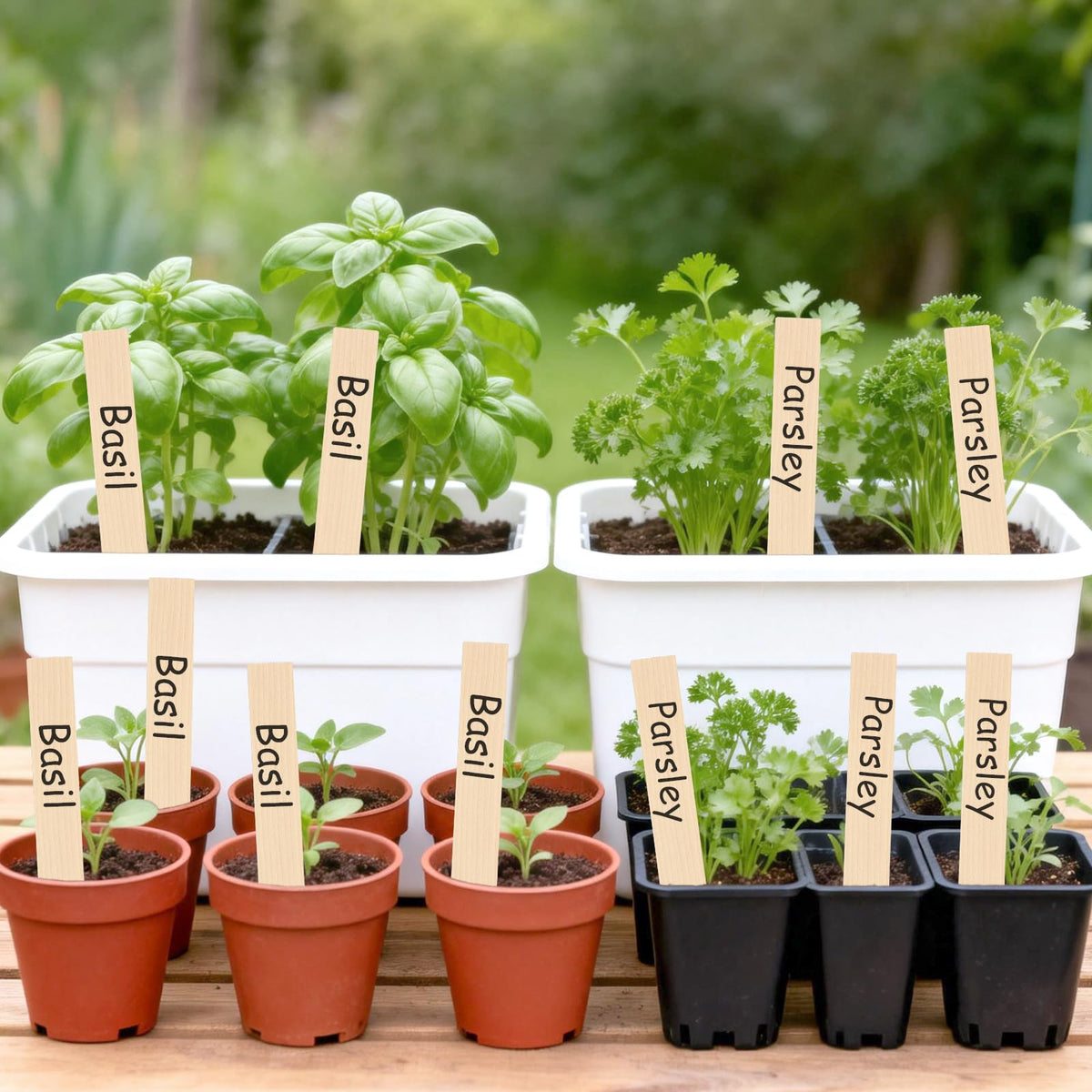 KINGLAKE durable wood garden labels for long-lasting plant marking.