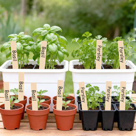 KINGLAKE durable wood garden labels for long-lasting plant marking.