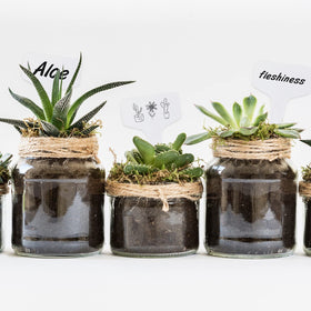 KINGLAKE easy-clean labels reusable with household cleaners.