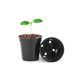 KINGLAKE GARDEN 2-inch pots with drainage, convenient for space-saving gardening.