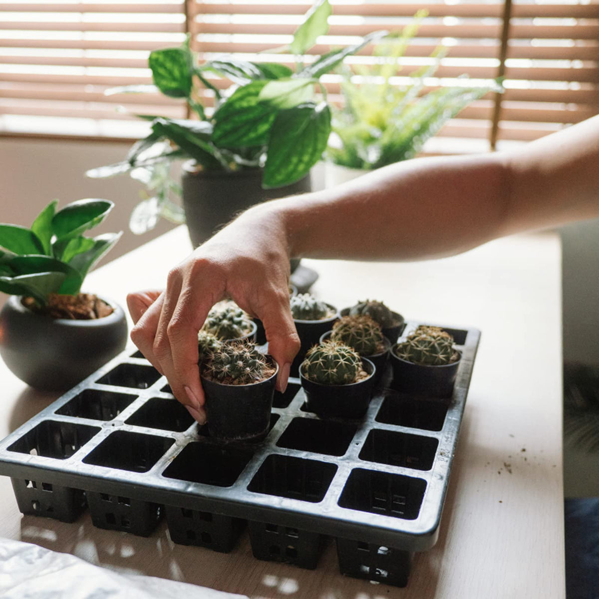 KINGLAKE GARDEN compact pots, great for décor and organizing tiny plants.