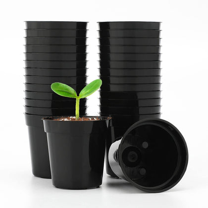 KINGLAKE GARDEN small 2-inch pot closeup, compact design ideal for starter succulents.