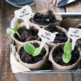 KINGLAKE greenhouse labels 6x10cm help organized tagging in nurseries.