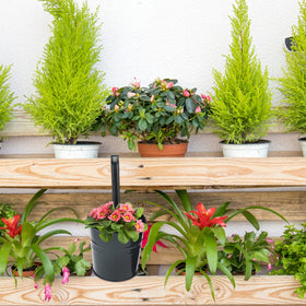 KINGLAKE indoor-outdoor planters suit balconies windows fences