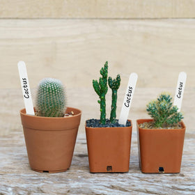 KINGLAKE multipurpose garden labels fit flowers, vegetables, and herbs