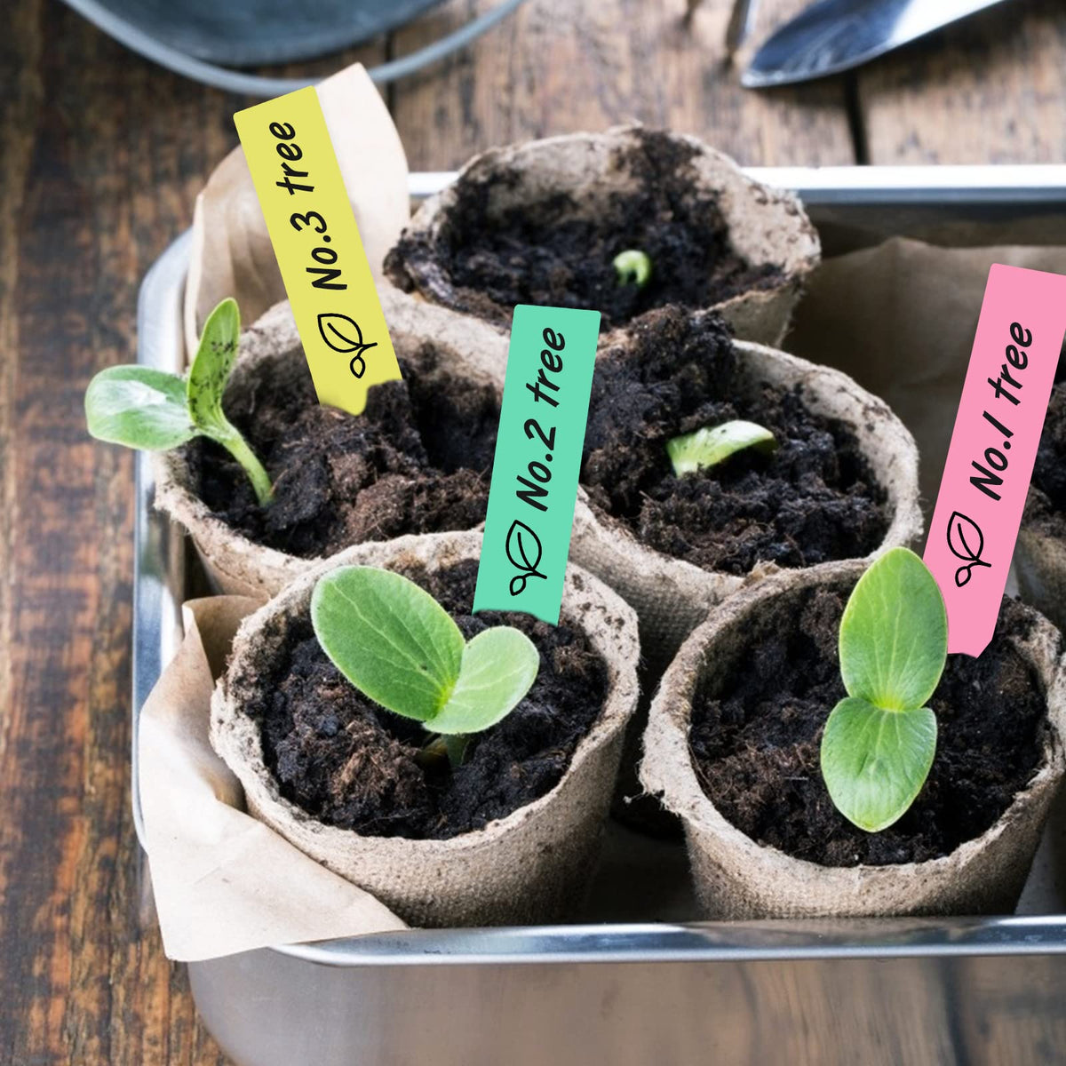 KINGLAKE outdoor garden labels, easy to write on with marking pen.