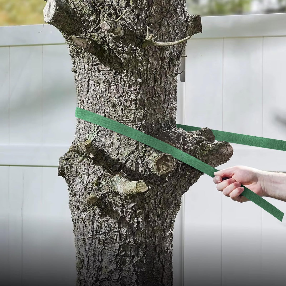 Kinglake outdoor garden strap supports trees in yard and garden.