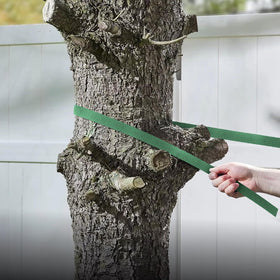 Kinglake outdoor garden strap supports trees in yard and garden.