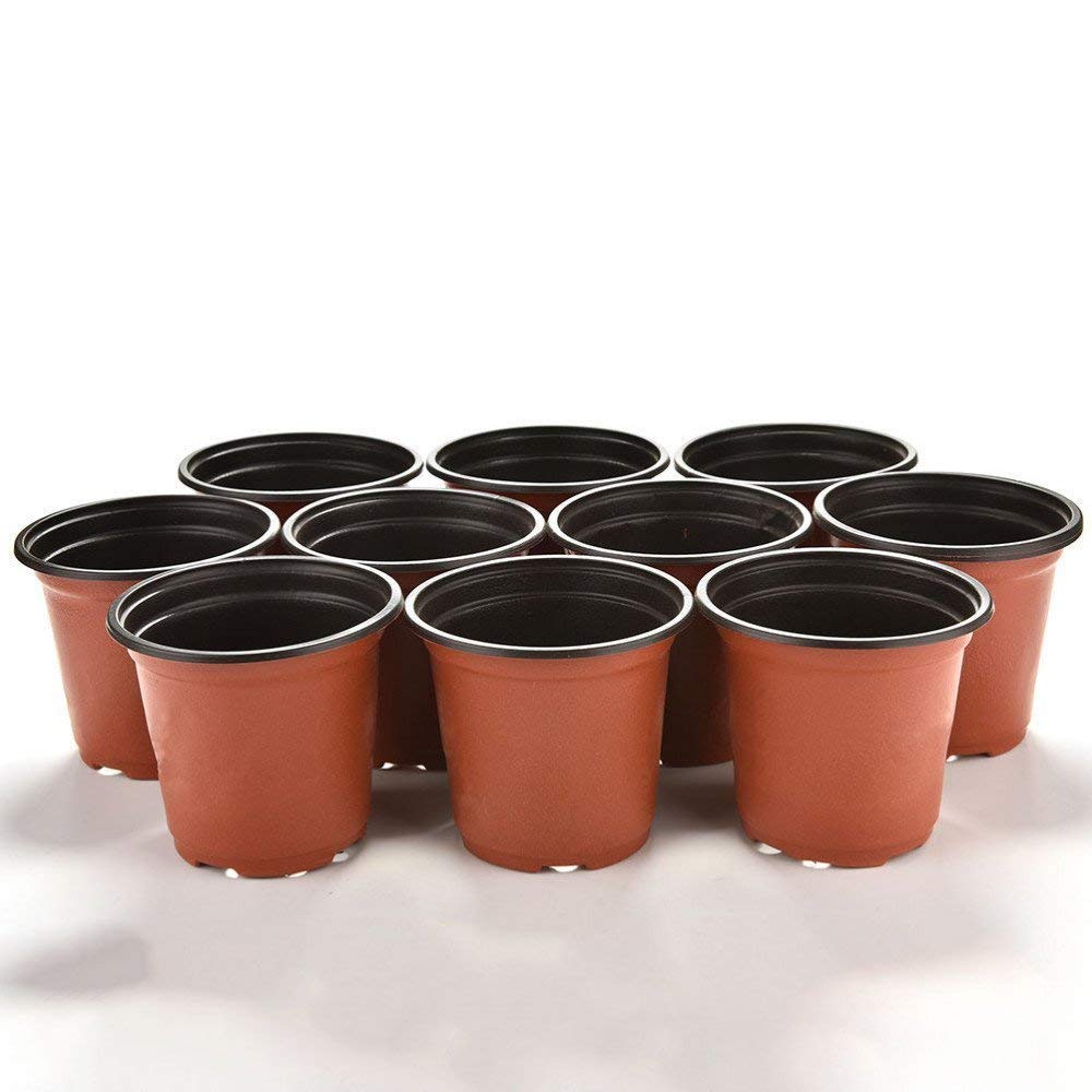 Kinglake propagation pots for succulents empowering easy rooting and growth
