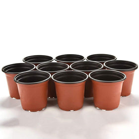 Kinglake propagation pots for succulents empowering easy rooting and growth