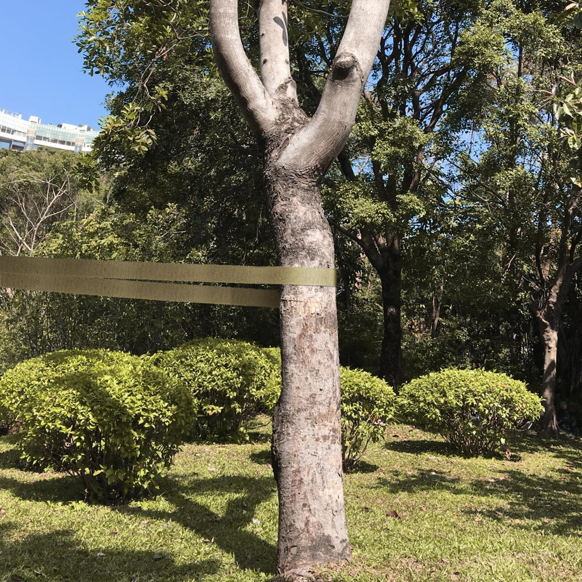 KINGLAKE staking and retraining straps for trees after storms