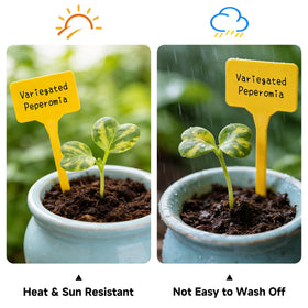 KINGLAKE waterproof plant labels withstand rain and watering in outdoor beds