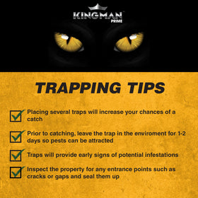 Kingman Prime heavy-duty design offering stable, long-lasting performance