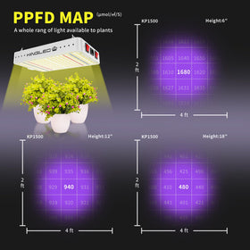 KINGPLUS KingLED KP1500 veg-bloom mode demonstrates flexible stage lighting.
