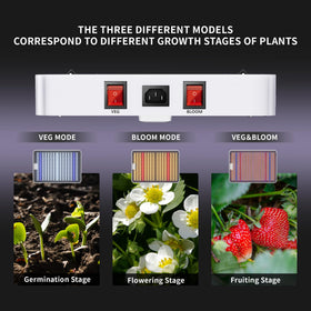 KingPlus KP3000 VEG and BLOOM modes for full-cycle plant development
