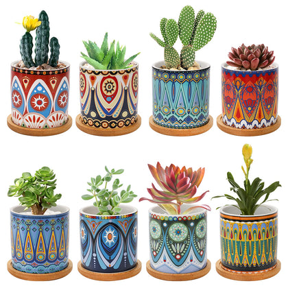 Kingrol 8-pack succulent pots with mandala-style design for chic indoor plant display