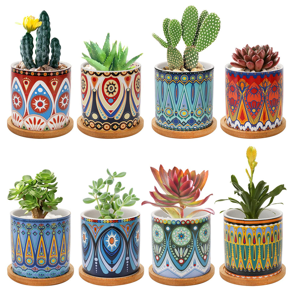 Kingrol 8-pack succulent pots with mandala-style design for chic indoor plant display