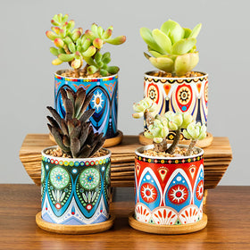 Kingrol boho-design planters brighten shelves, desks, and windowsills with warm charm