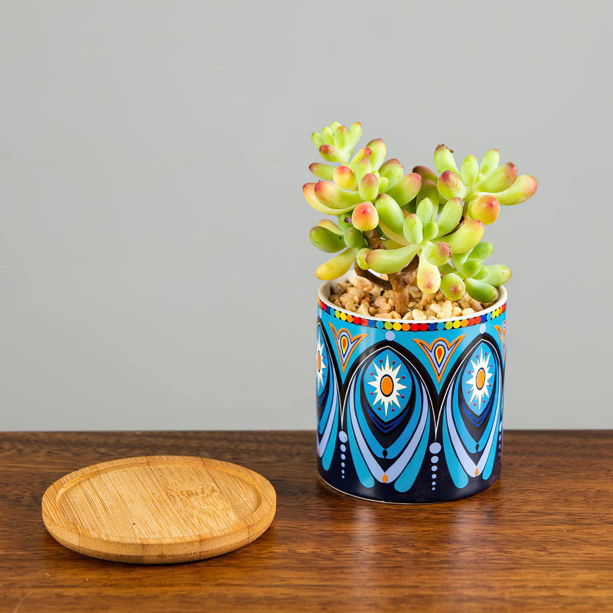 Kingrol mandala planter collection enhances coffee tables or desks with decorative geometry