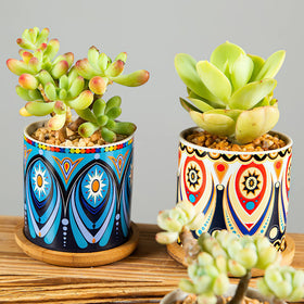 Kingrol compact planter set ideal for display on shelves, windowsills, or desks