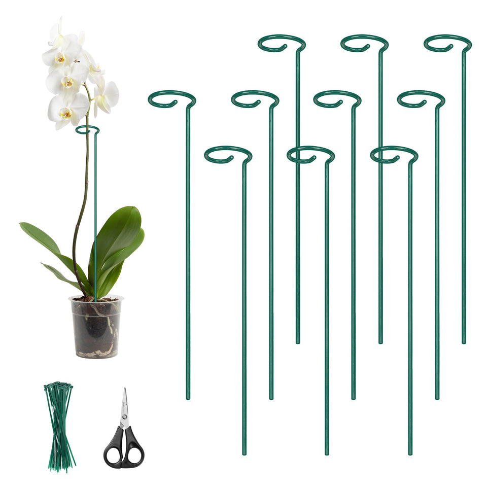 Kingsyard 24 inch plant stake supporting tall stems in the garden.