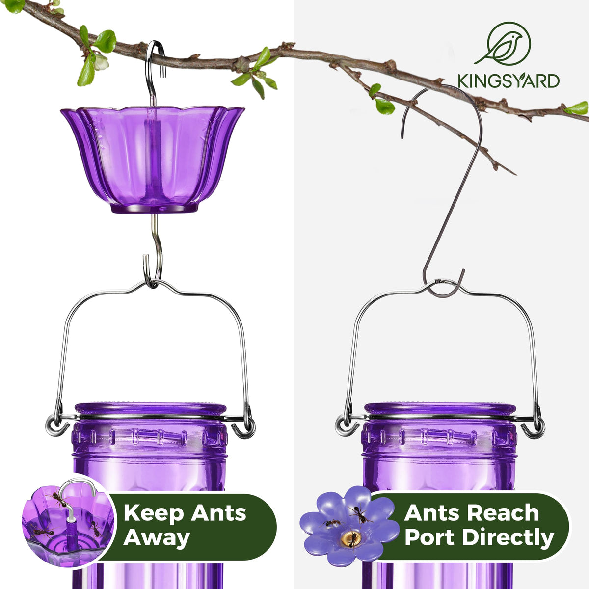 Kingsyard ant moat 2-pack for oriole feeder prevents ant intrusion during feeding sessions.
