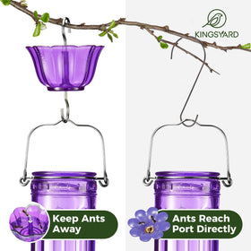 Kingsyard ant moat 2-pack for oriole feeder prevents ant intrusion during feeding sessions.