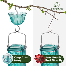 Kingsyard ant moat protects nectar from ants, preserving feeding opportunities.