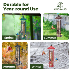 Kingsyard feeder attracts cardinals, finches, and chickadees for enjoyable birdwatching