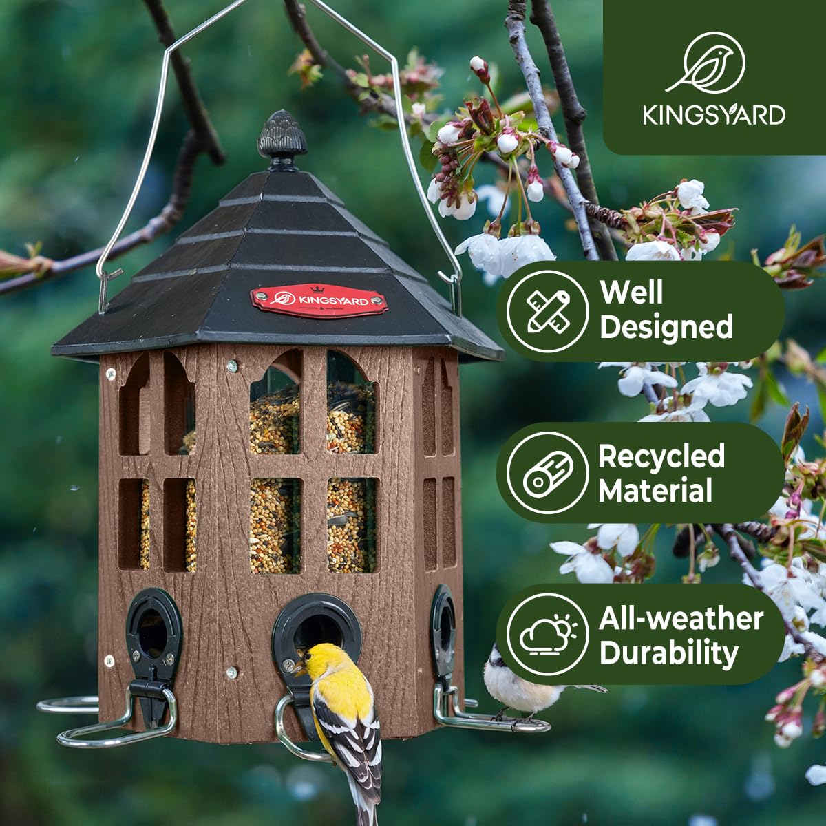 Kingsyard 6-port seed hopper attracts diverse backyard birds.