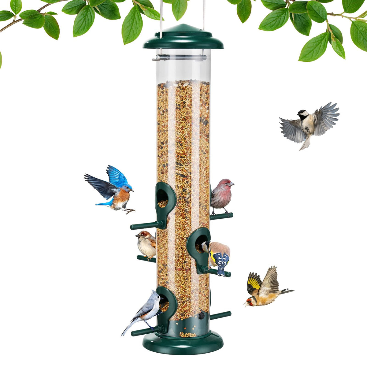 Kingsyard bird feeder outdoor 6-port lid shows durable metal design for reliable yard bird watching.