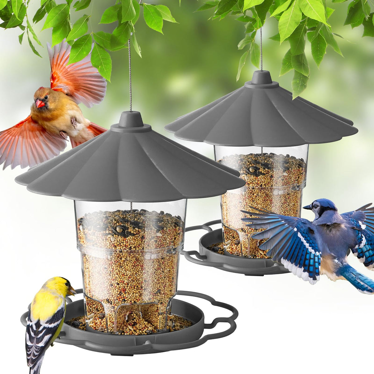 Kingsyard bird feeder outdoor hanging shows simple setup and steady visits