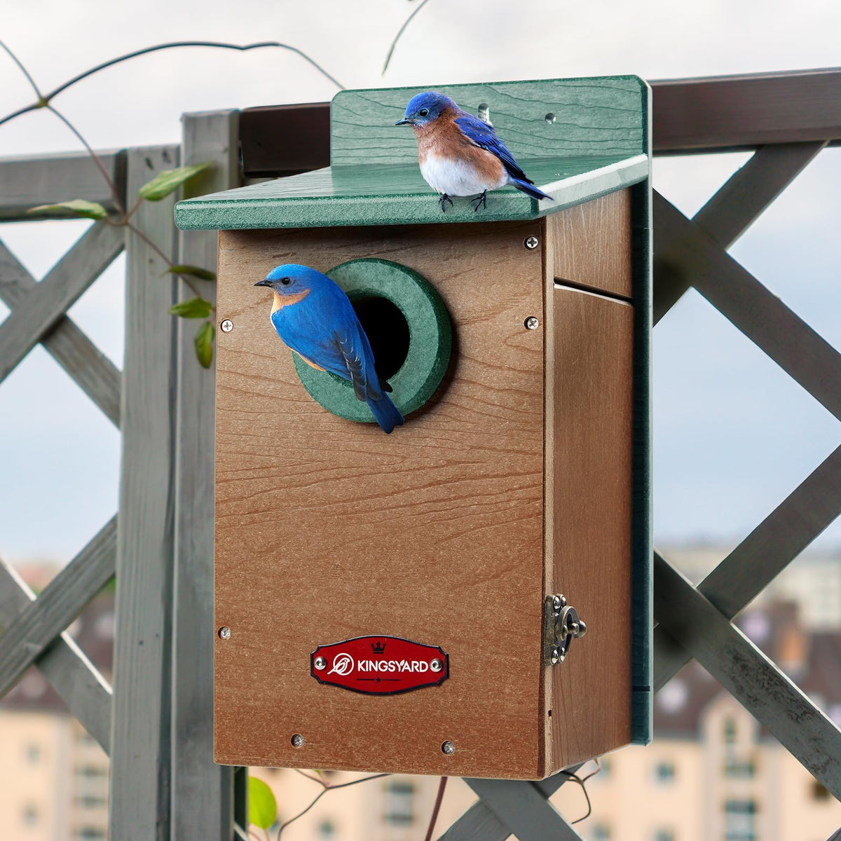 Kingsyard bird house gift-ready packaging appeals to bird lovers and nature enthusiasts.