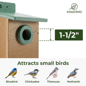 Kingsyard bird house predator guard prevents entrance enlargement and protects young birds.
