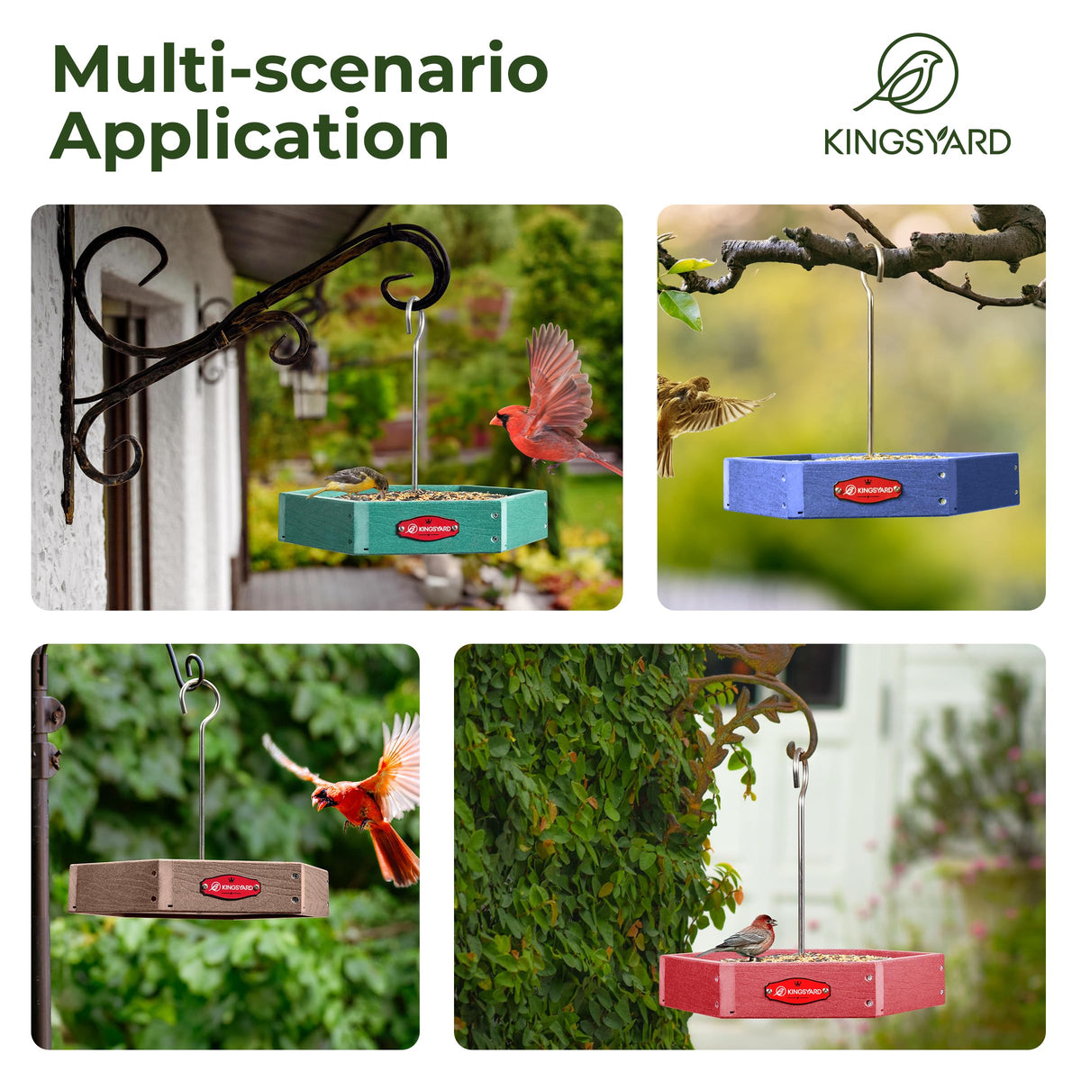 Kingsyard blue feeder attracts cardinals and bluebirds and more garden visitors