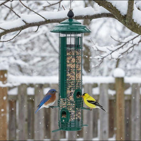 Kingsyard clear tube shows seed levels at a glance for quick refills