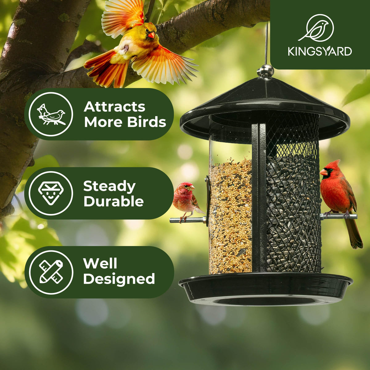 Kingsyard dual-chamber feeder with 4 lb capacity for varied seed types