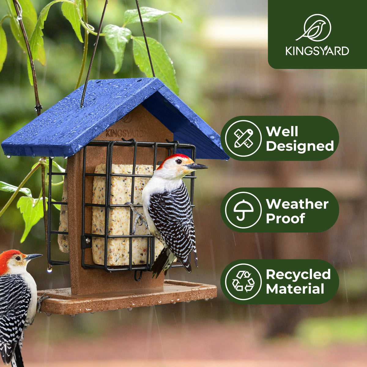 Kingsyard dual suet cages opened for quick refills, attracting a variety of backyard birds.