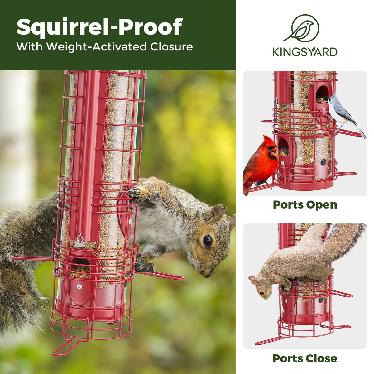 Kingsyard outdoor feeder showcases durable metal construction for year-round backyard use