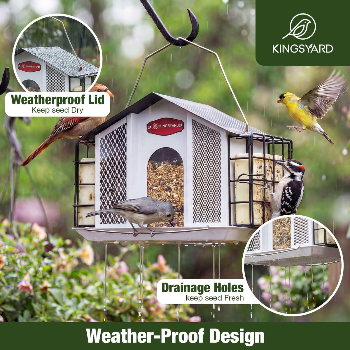Kingsyard extended perch design; supports large and small birds at once
