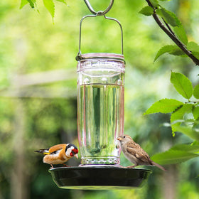 Kingsyard 16oz capacity keeps birds hydrated during busy mornings.