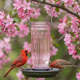 Kingsyard gift-ready design makes a thoughtful present for nature lovers.