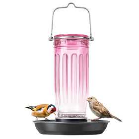 Kingsyard glass bird water dispenser 16oz provides a clear drink station in bright sun.