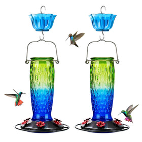 Kingsyard glass hummingbird feeder with 6 ports attracts hummingbirds to your garden