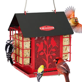 Kingsyard metal bird feeder with dual suet cages enables 360-degree feeding.