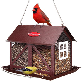 Kingsyard metal bird feeder with two seed compartments for mixed feeding