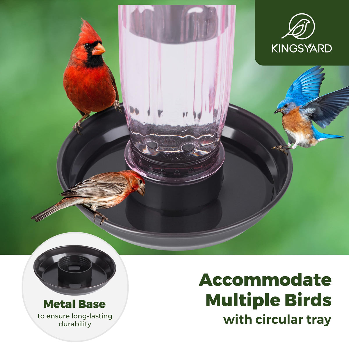 Kingsyard perch tray invites small birds to perch and sip.